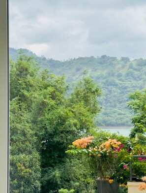 A view of a lush green landscape with a body of water in the distance, and a balcony with potted plants. - Villa Eranya Kandy (Digana)