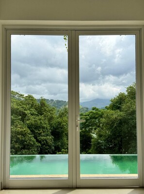 Vista per una finestra amb una piscina i vegetació abundant.