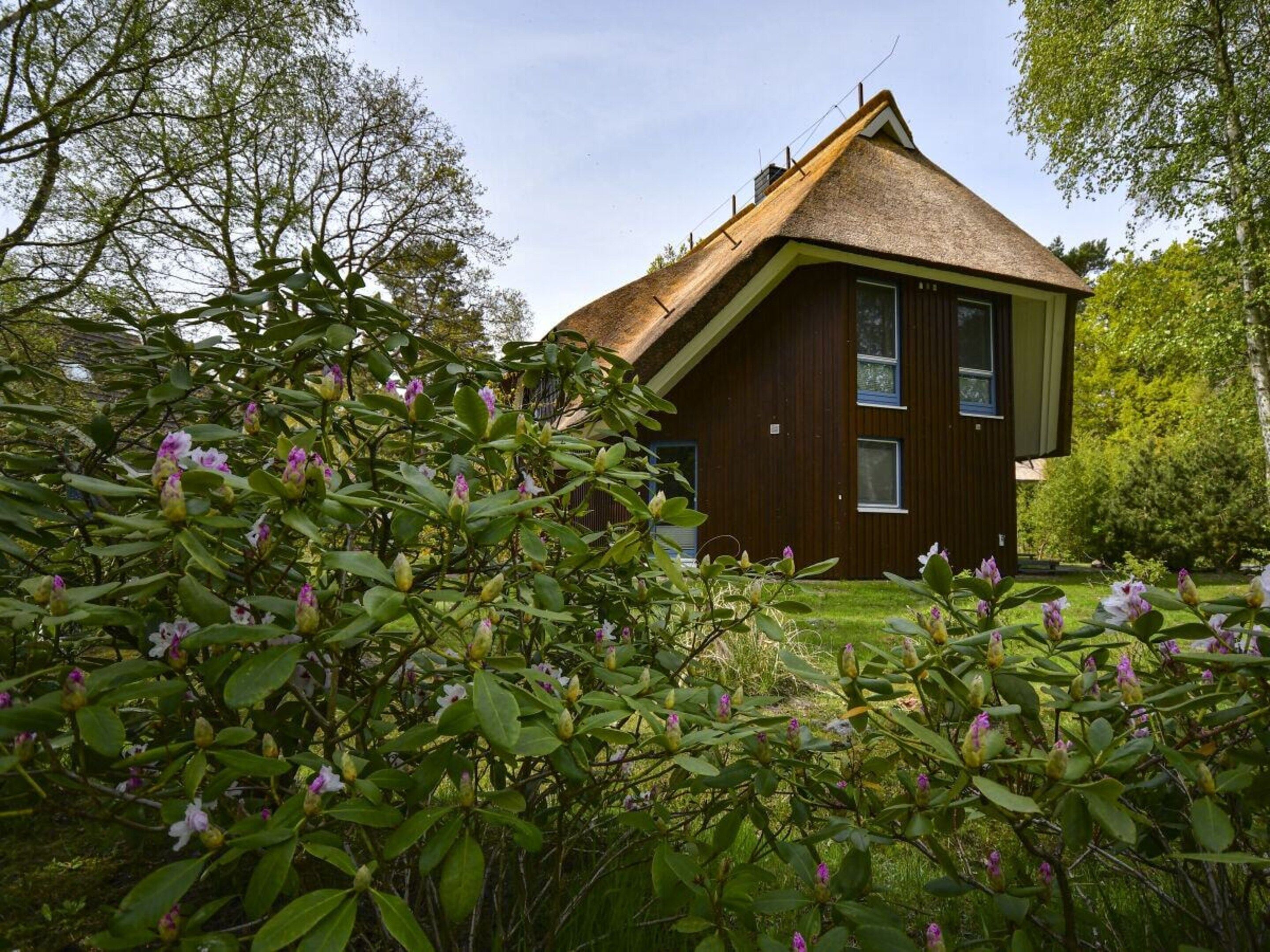A wooden house with a gabled roof surrounded by lush greenery and flowering plants.