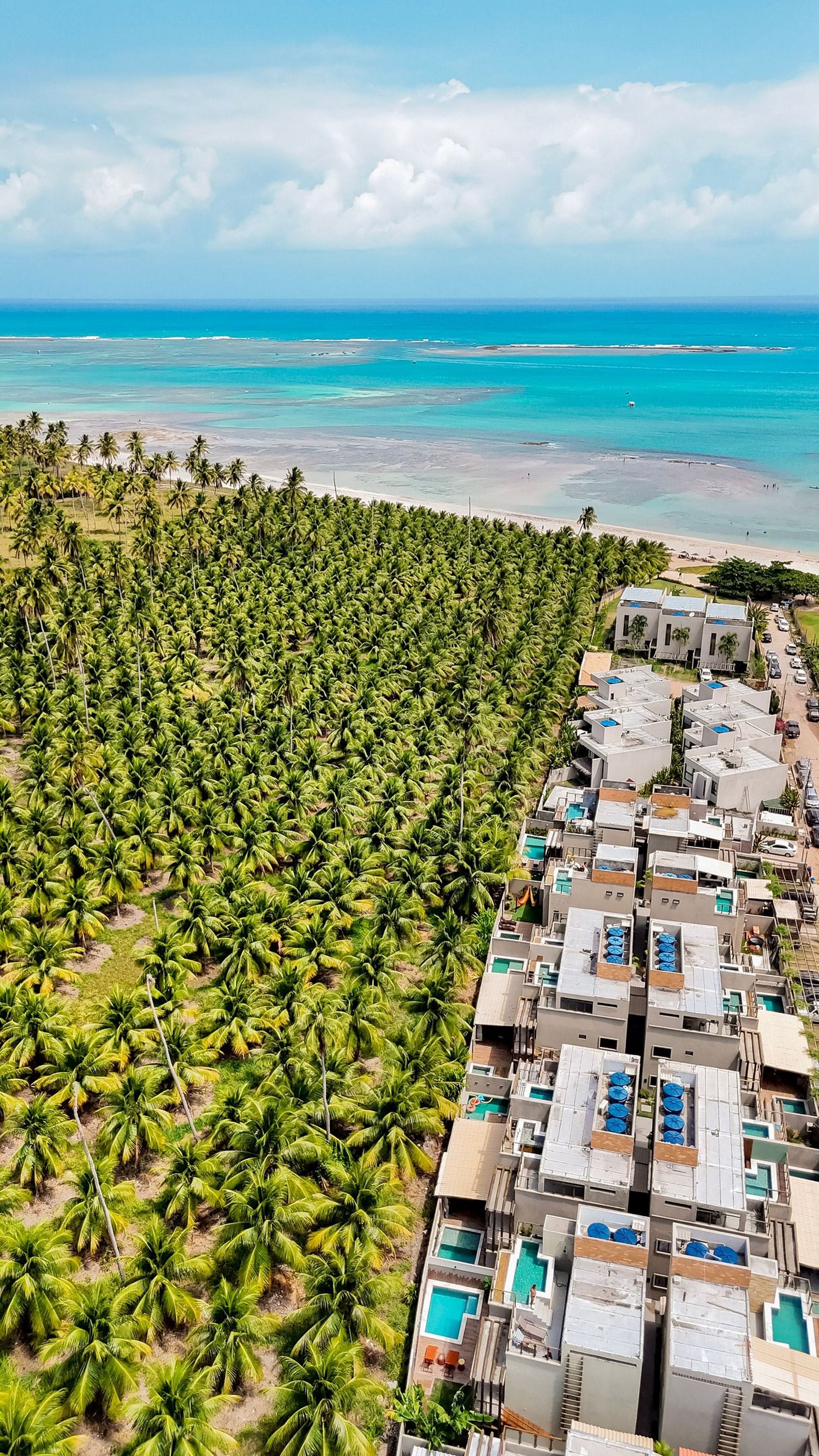 An aerial view of a coastal area with a dense palm grove and a row of modern buildings with rooftop pools.