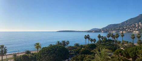 A coastal landscape with a clear view of the sea, palm trees, and a distant cityscape.