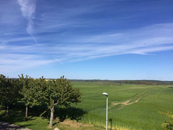 A rural landscape with a clear sky, a field, and a tree line. - Holiday Home in Putbus With Swimming Pool (Putbus)