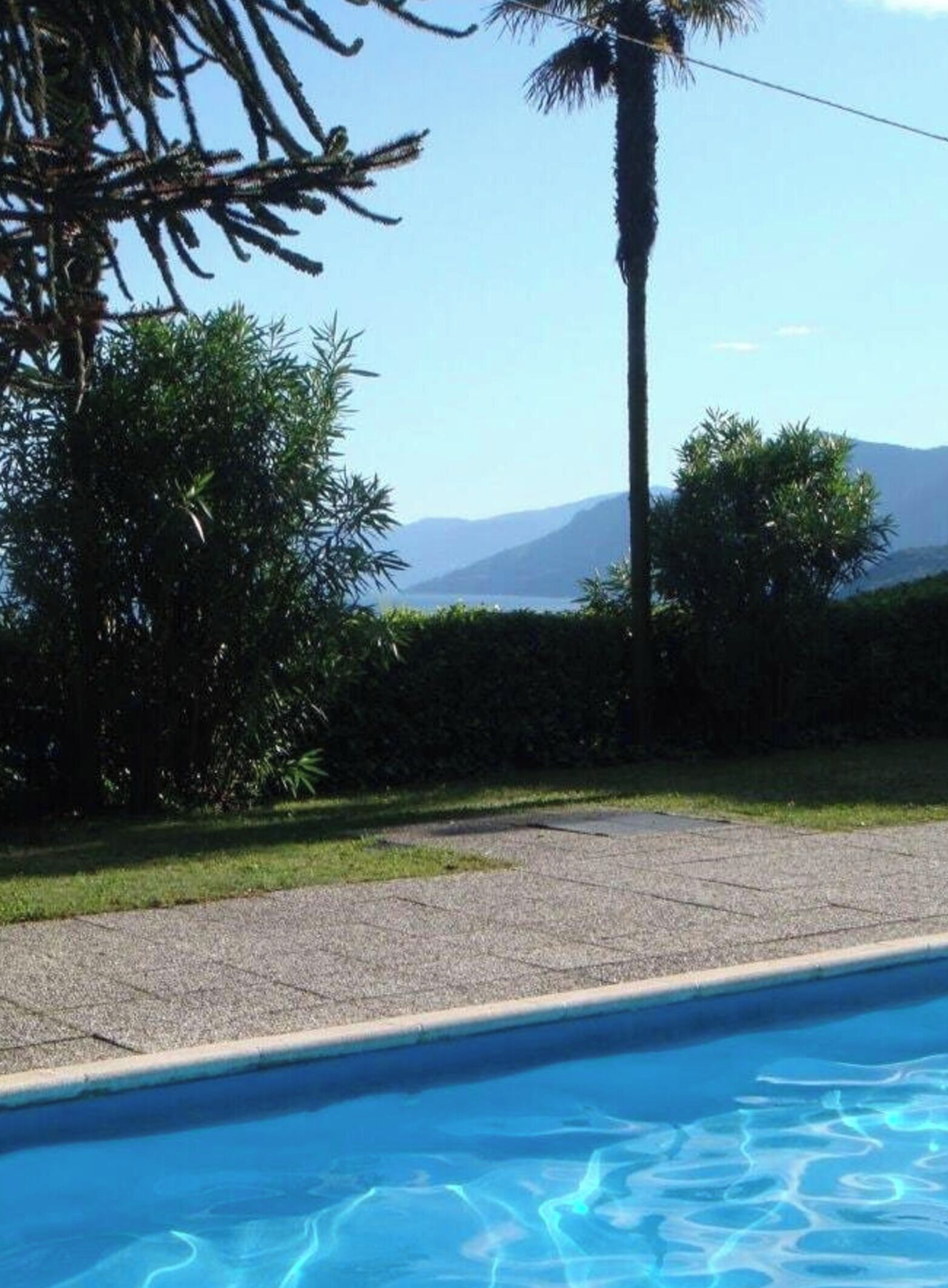 Une piscine offrant une vue dégagée sur le paysage environnant, notamment sur un palmier et des montagnes au loin.