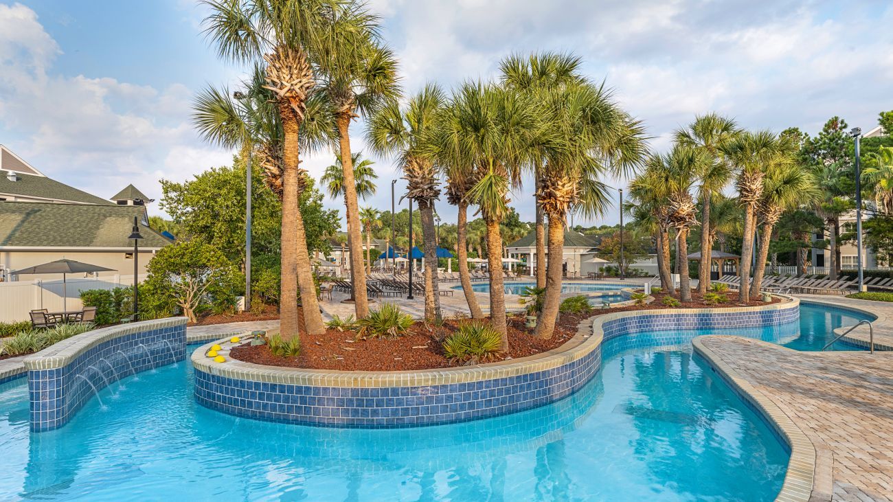 A swimming pool with a tiled edge, surrounded by palm trees and a brick deck.