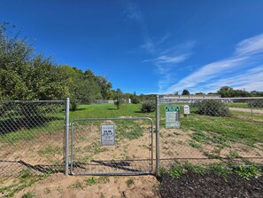 Un recinto per cani recintato con cielo sereno e alberi sullo sfondo.