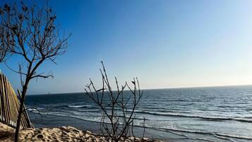 A beach with a clear sky, a sandy shore, and a line of trees.