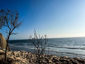 A beach with a clear sky, a sandy shore, and a line of trees.