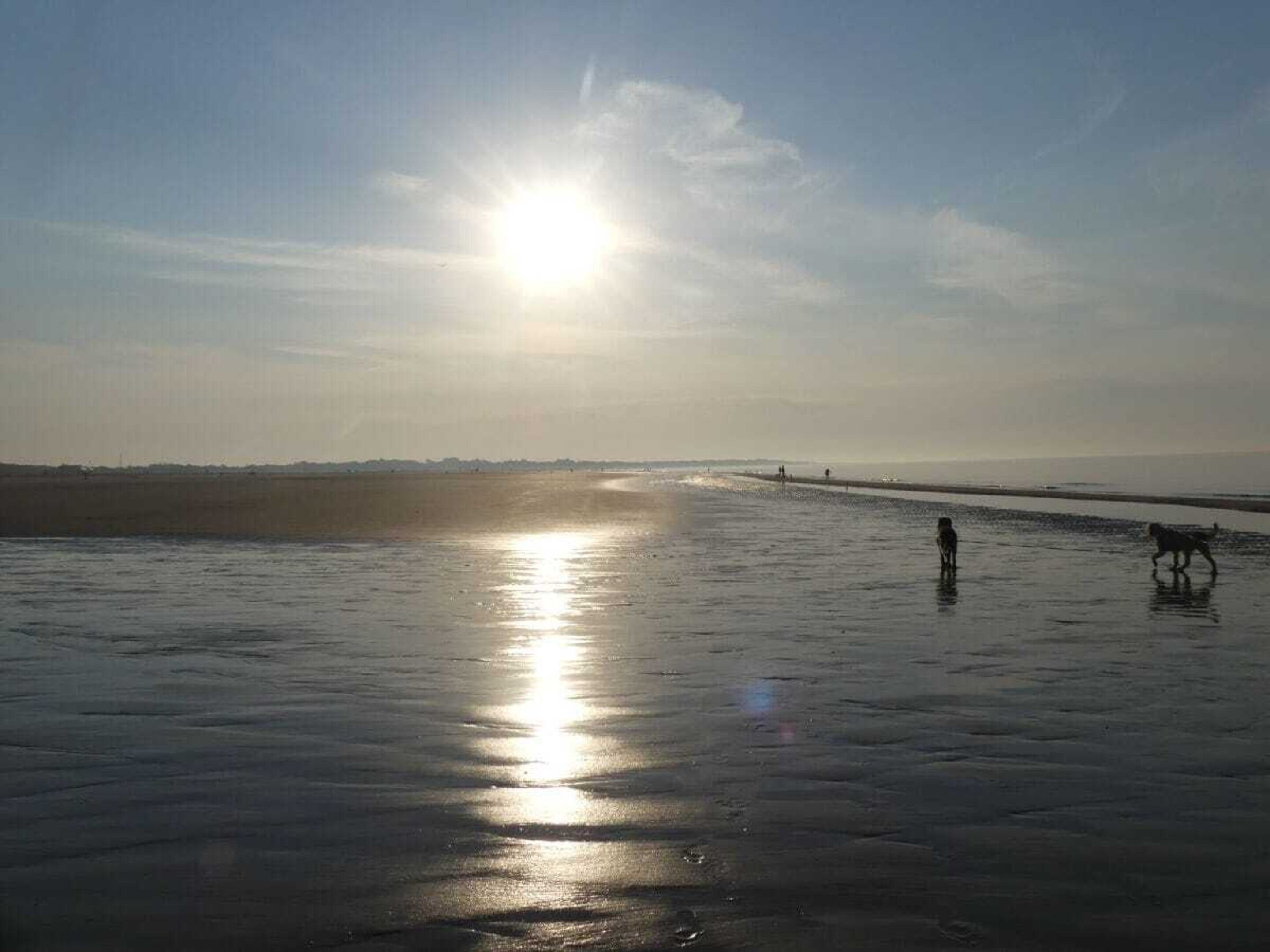 海灘