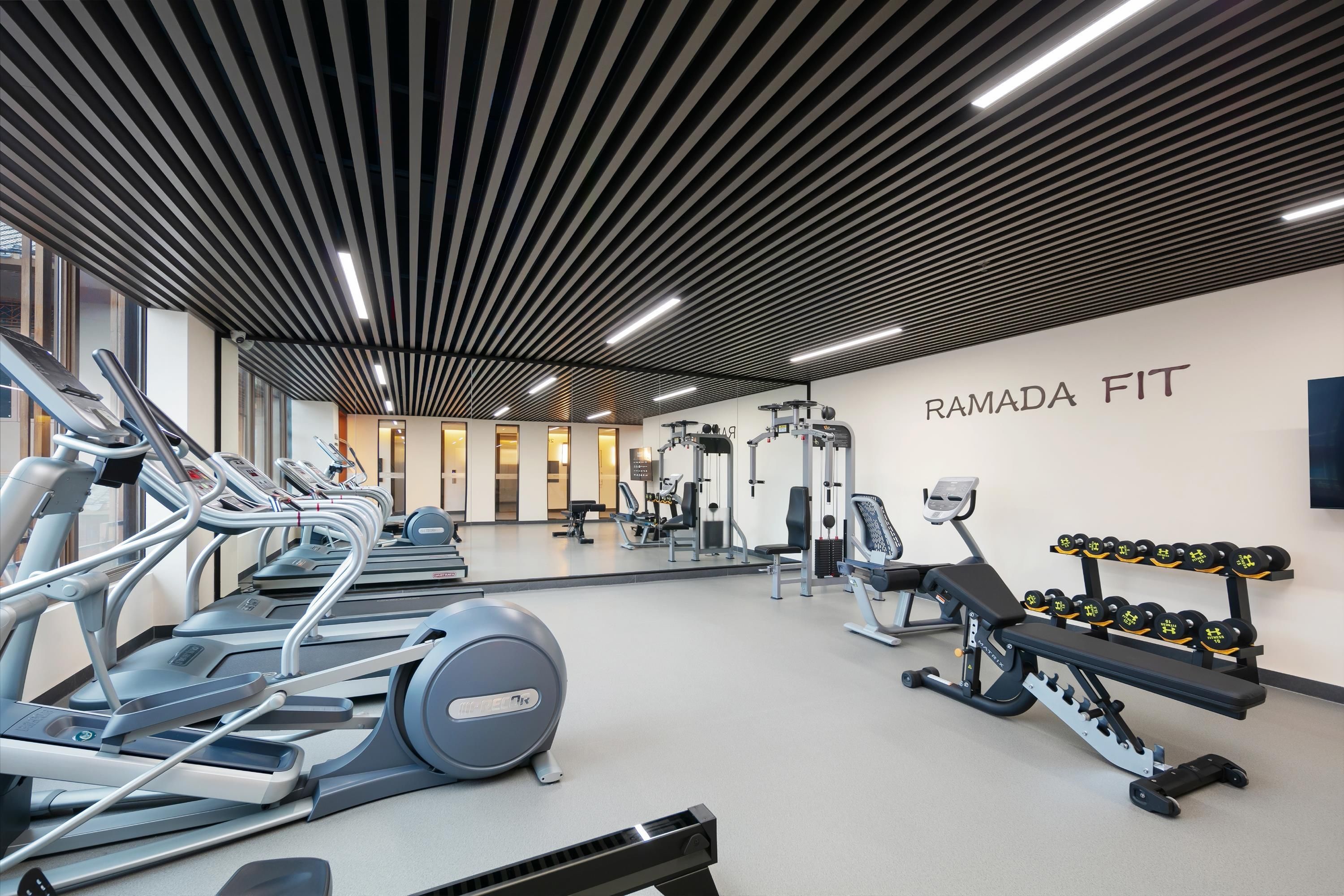 Un gimnasio moderno con cintas de correr, máquinas de pesas y mancuernas.