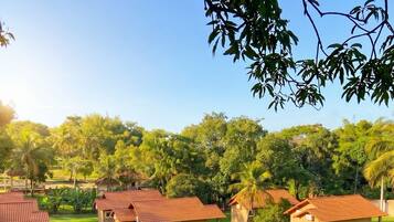 A swimming pool surrounded by houses with red roofs, a grassy lawn, and trees in the background.