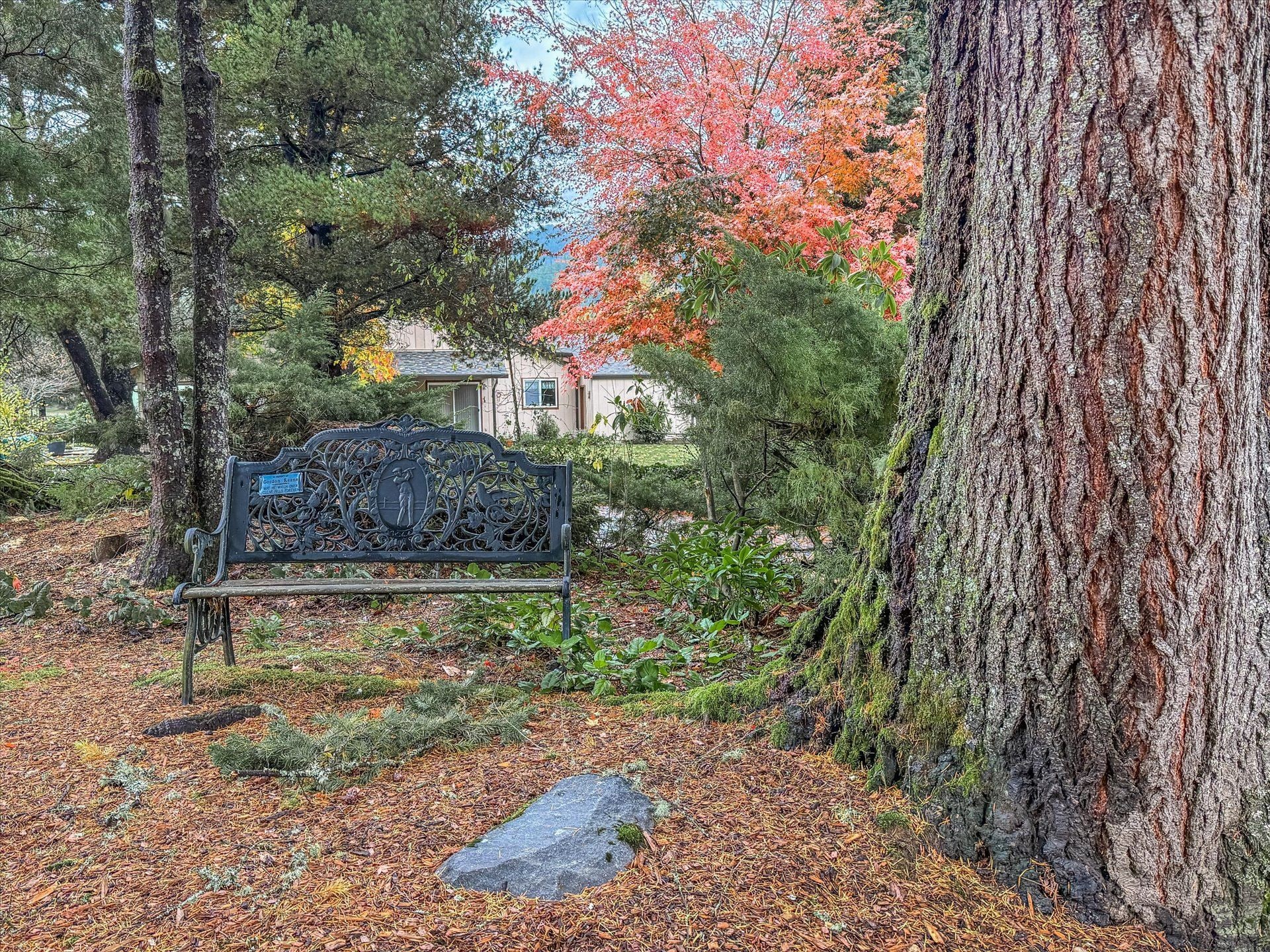 Un banco en una zona boscosa con un indicador y un árbol de hojas rojas.