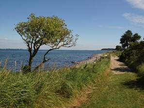 A coastal path with a tree and a view of the sea. - Holiday Home in Pommerby With Swimming Pool (Pommerby)