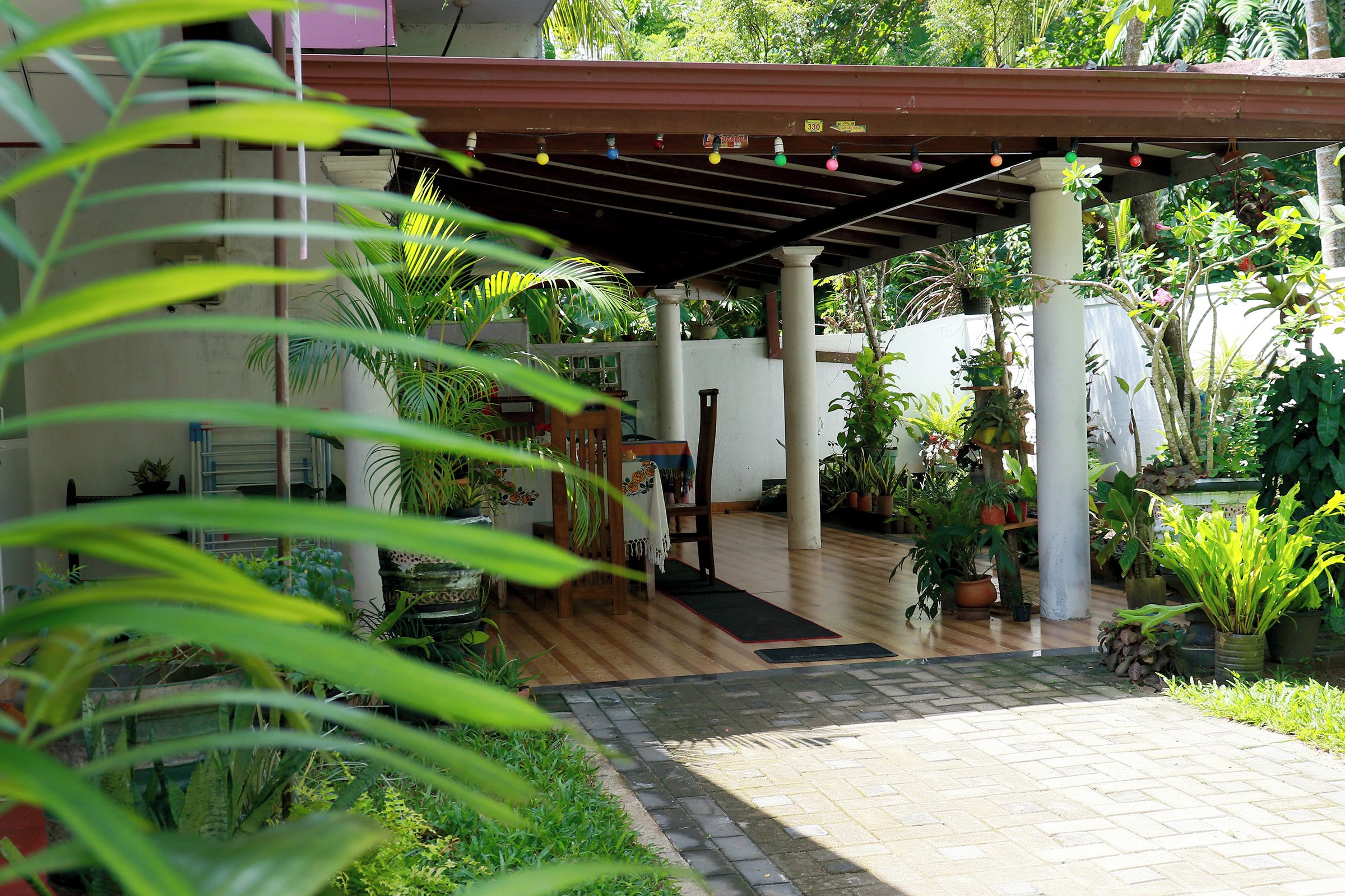 Un espace extérieur abrité doté d’un plancher en bois, de plantes en pot et d’une pergola agrémentée de guirlandes lumineuses.