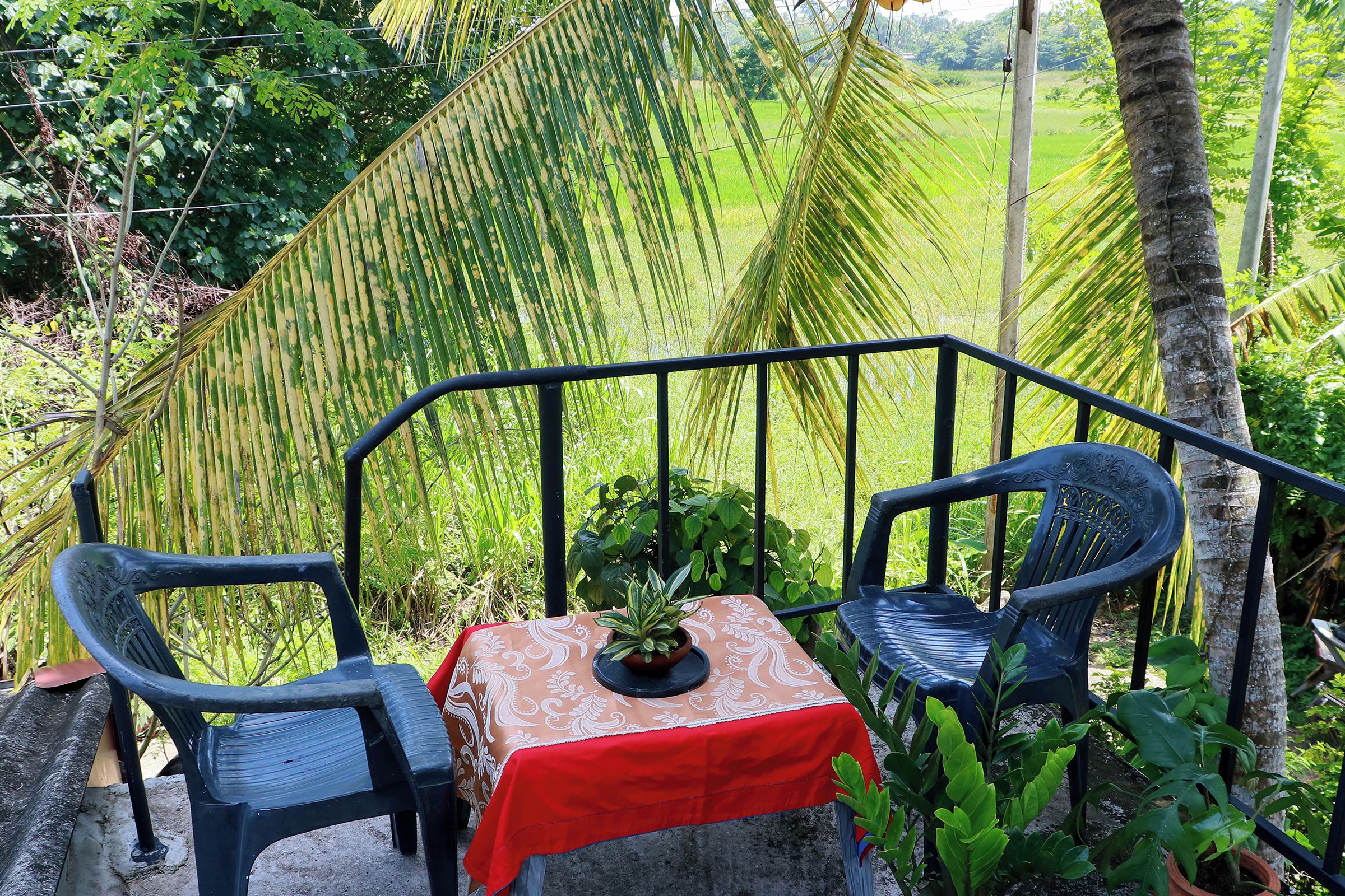 A table with a red tablecloth and a potted plant, two chairs, and a metal railing.