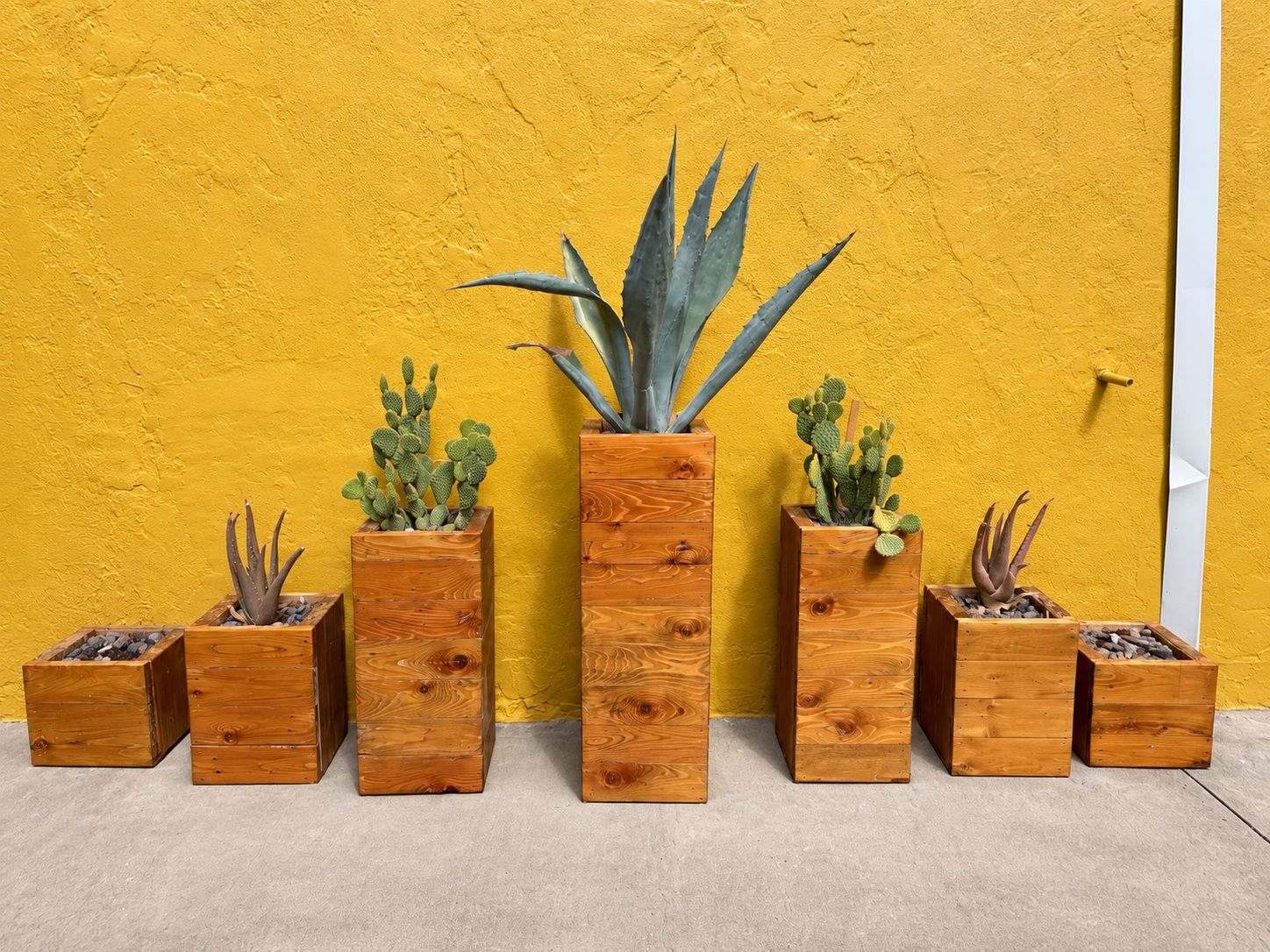 A row of wooden planters with various succulents against a yellow wall.