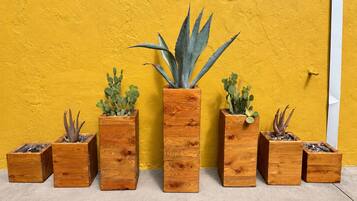 A row of wooden planters with various succulents against a yellow wall.
