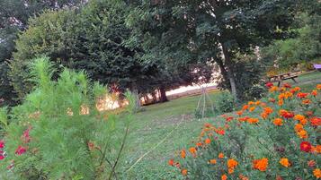 A garden with various plants and flowers, a wooden bench, and a picnic table.