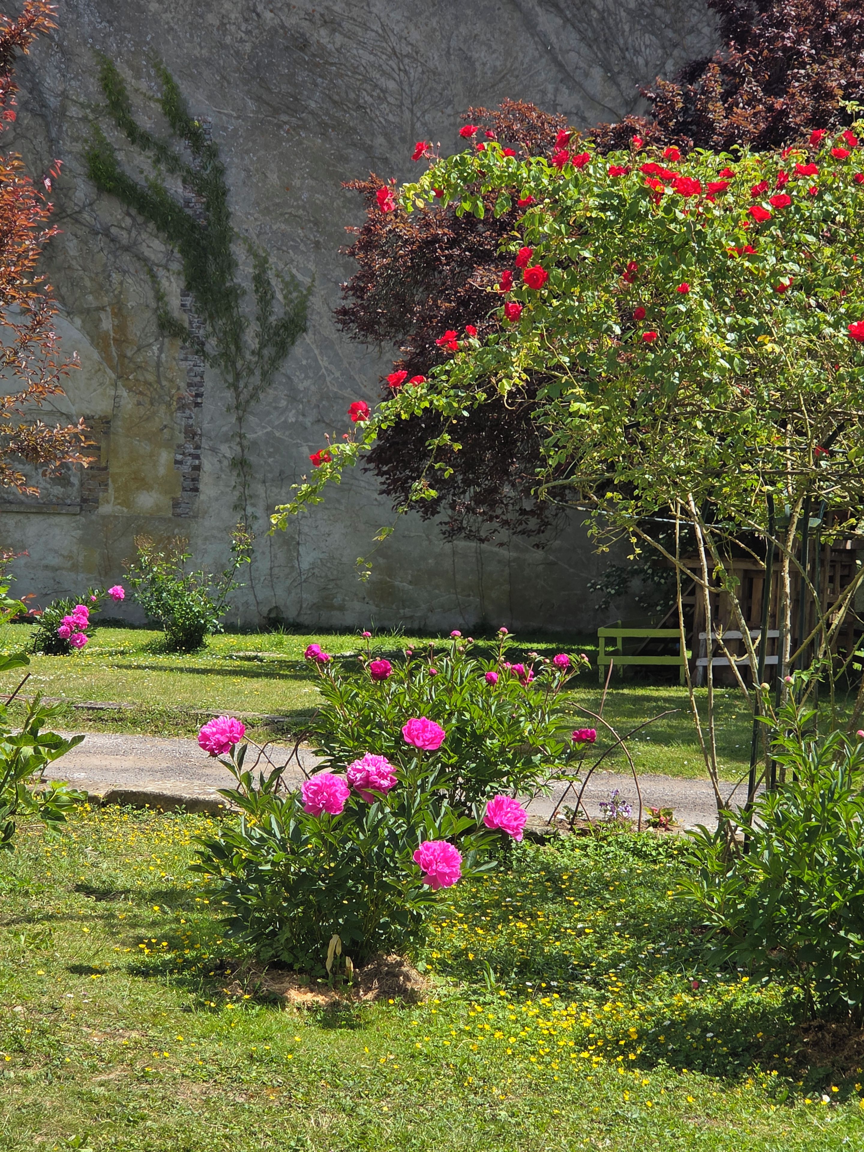 A garden with flowering plants and a stone wall.