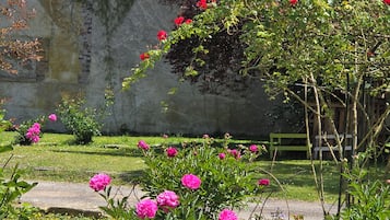 A garden with flowering plants and a stone wall.