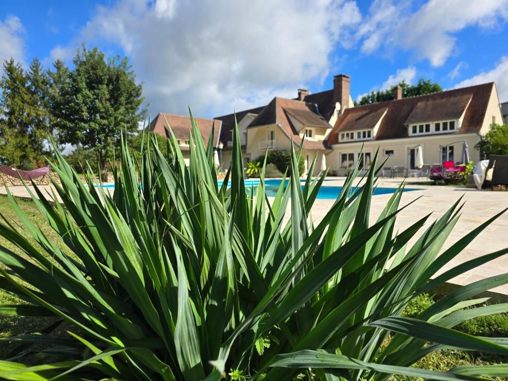 Un área de piscina con una casa al fondo, rodeada de vegetación.