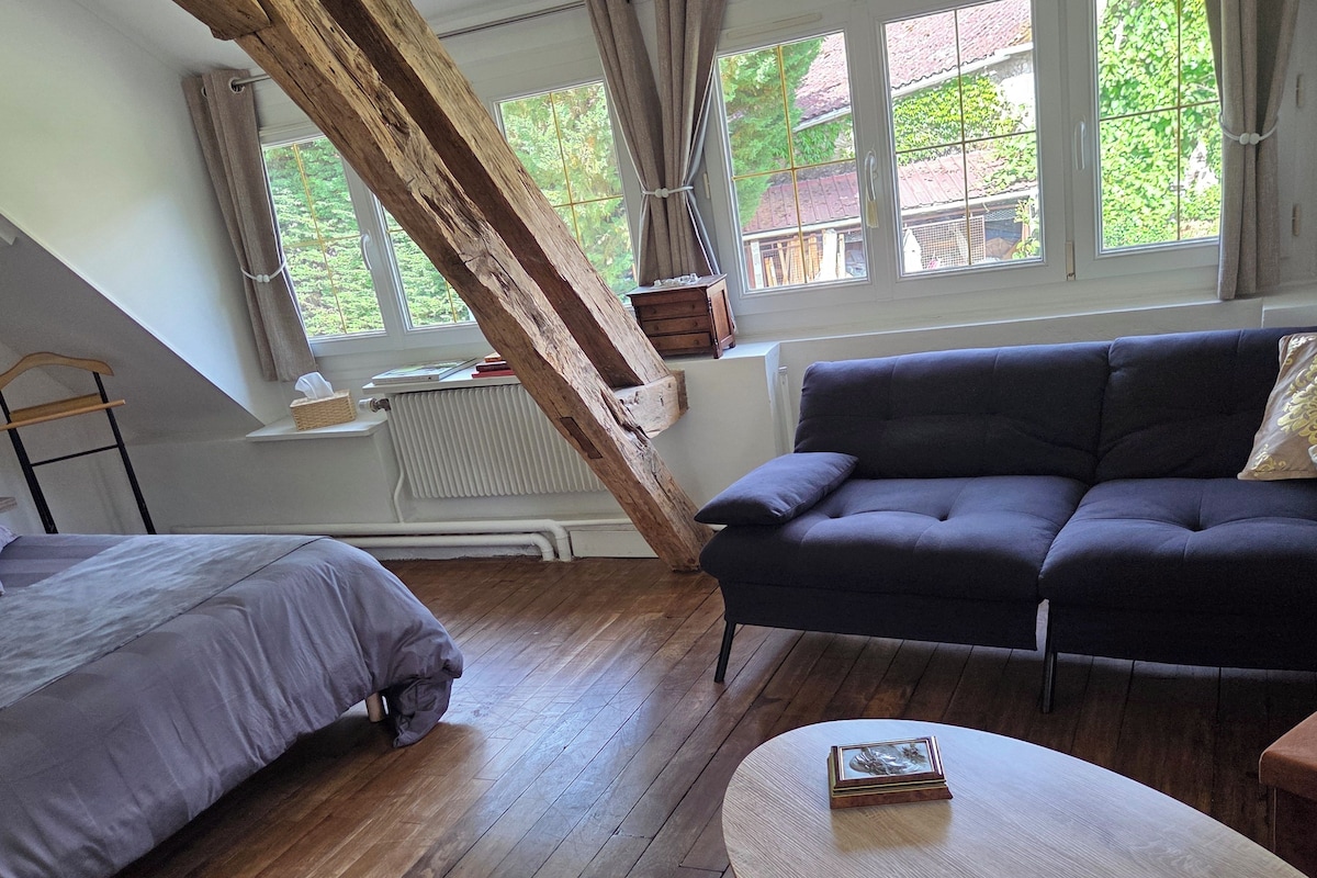 A room with a bed, a sofa, a table, and a window with a view of greenery.