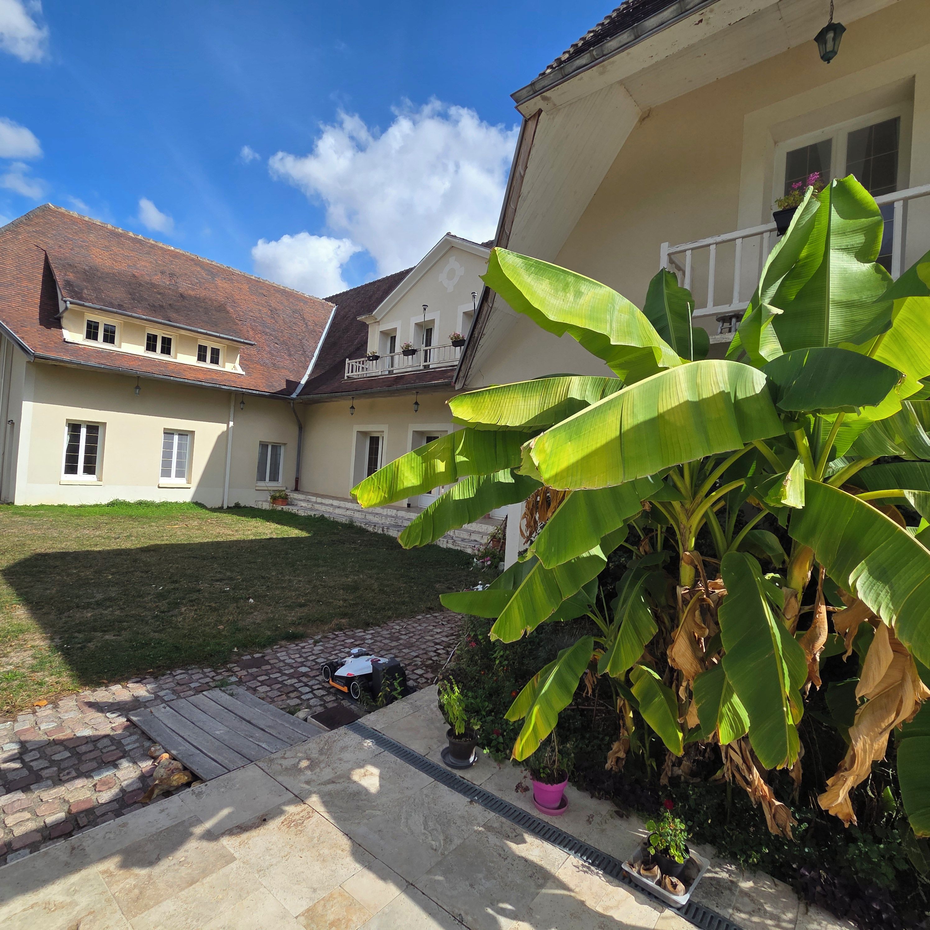 Un edificio residencial con entrada pavimentada, césped y una planta de plátano grande.