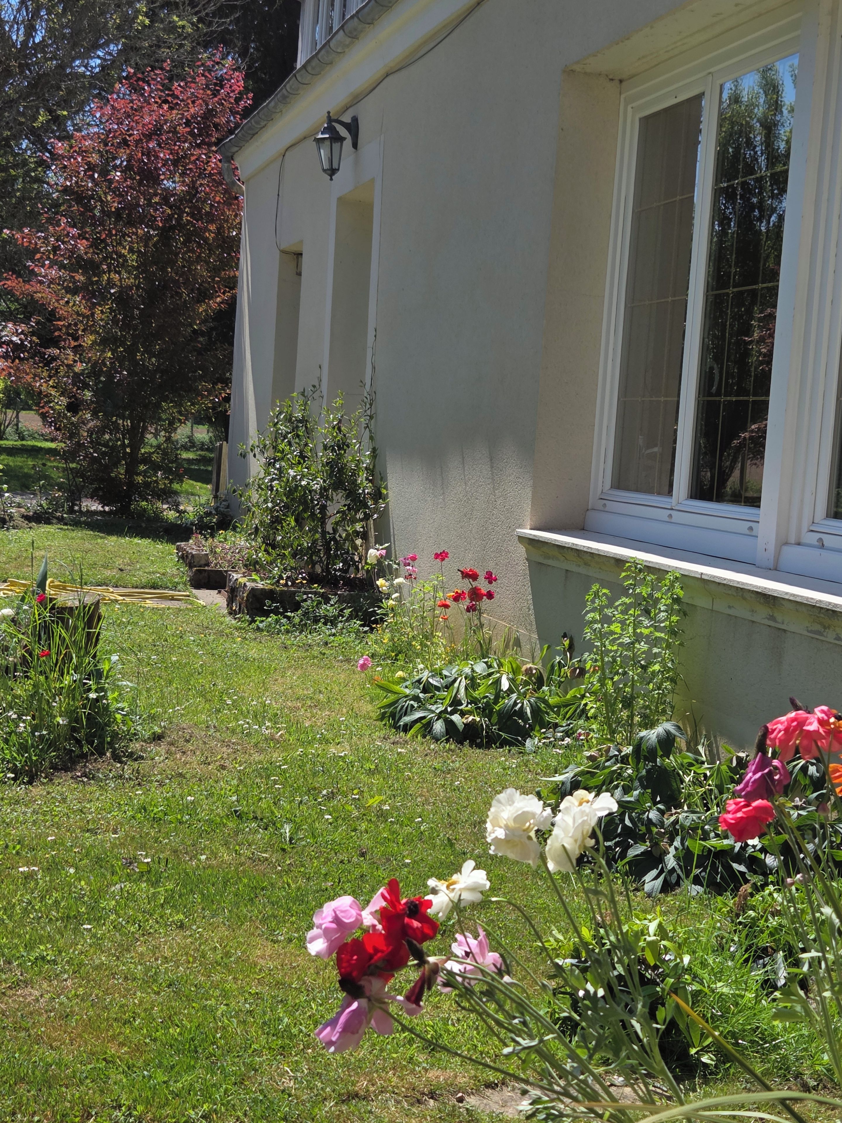 Un jardin où l’on trouve une grande variété de fleurs et un bâtiment doté d’une fenêtre et d’une applique murale.