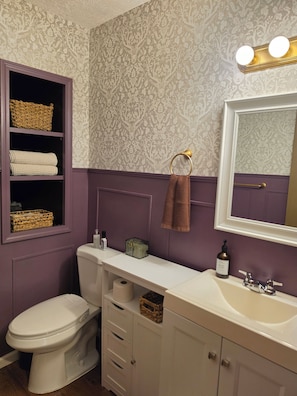 A bathroom with a toilet, vanity, and a mirror.