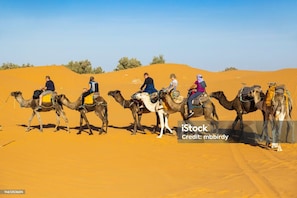 Miscellaneous - Luxury Erg Chebbi Camps (Merzouga)