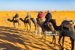 Miscellaneous - Luxury Erg Chebbi Camps (Merzouga)