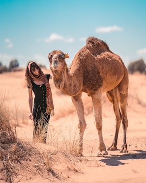 Miscellaneous - Luxury Erg Chebbi Camps (Merzouga)