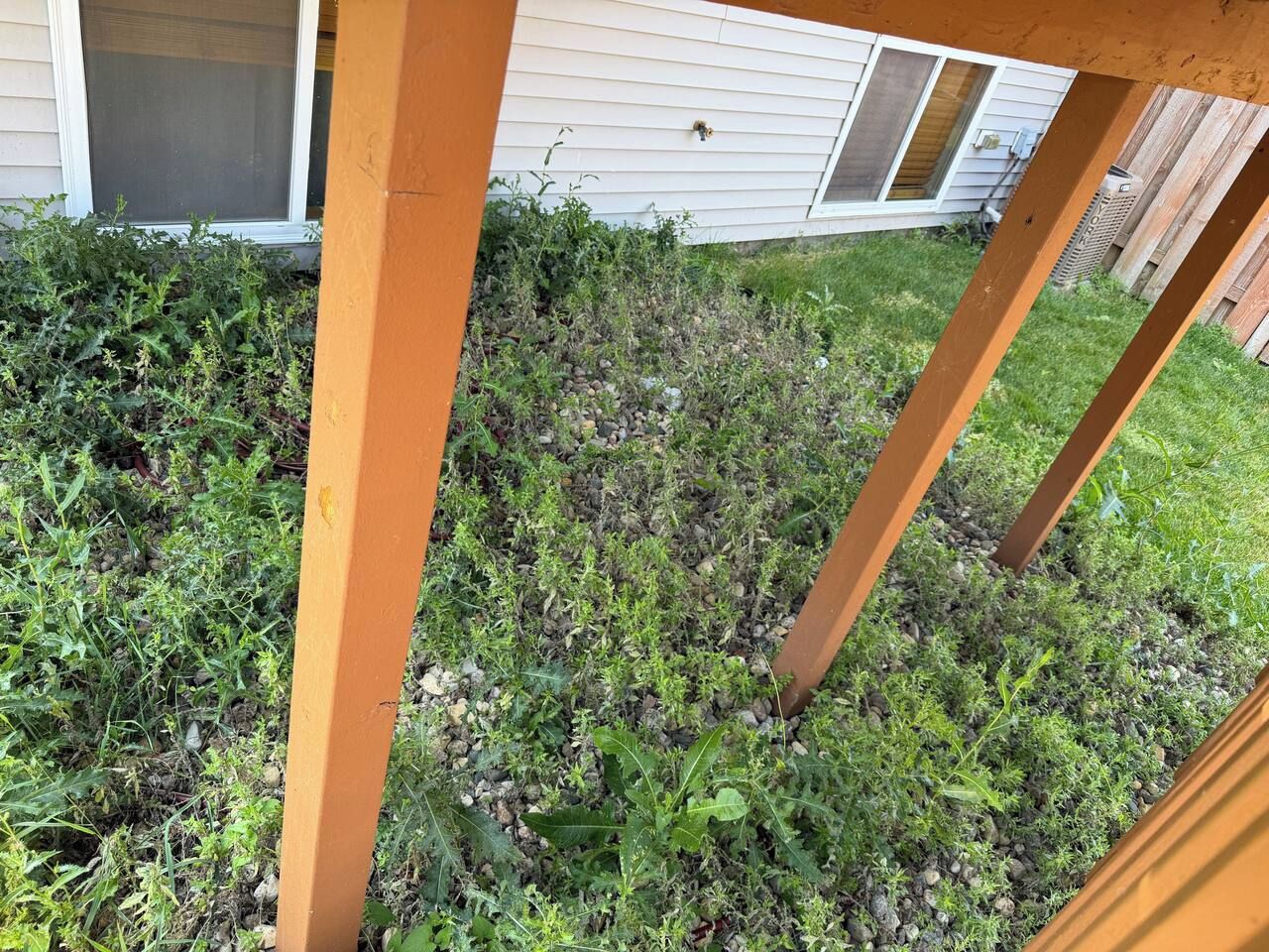 En træterrasse med udsigt til et hus og frodig vegetation.