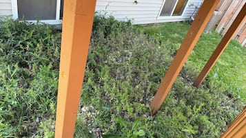 En træterrasse med udsigt til et hus og frodig vegetation.