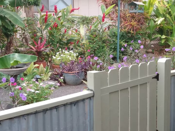 A garden with various plants and flowers, a wheelbarrow, and a white picket fence. - Hale Manu i ke Kai (Kihei)