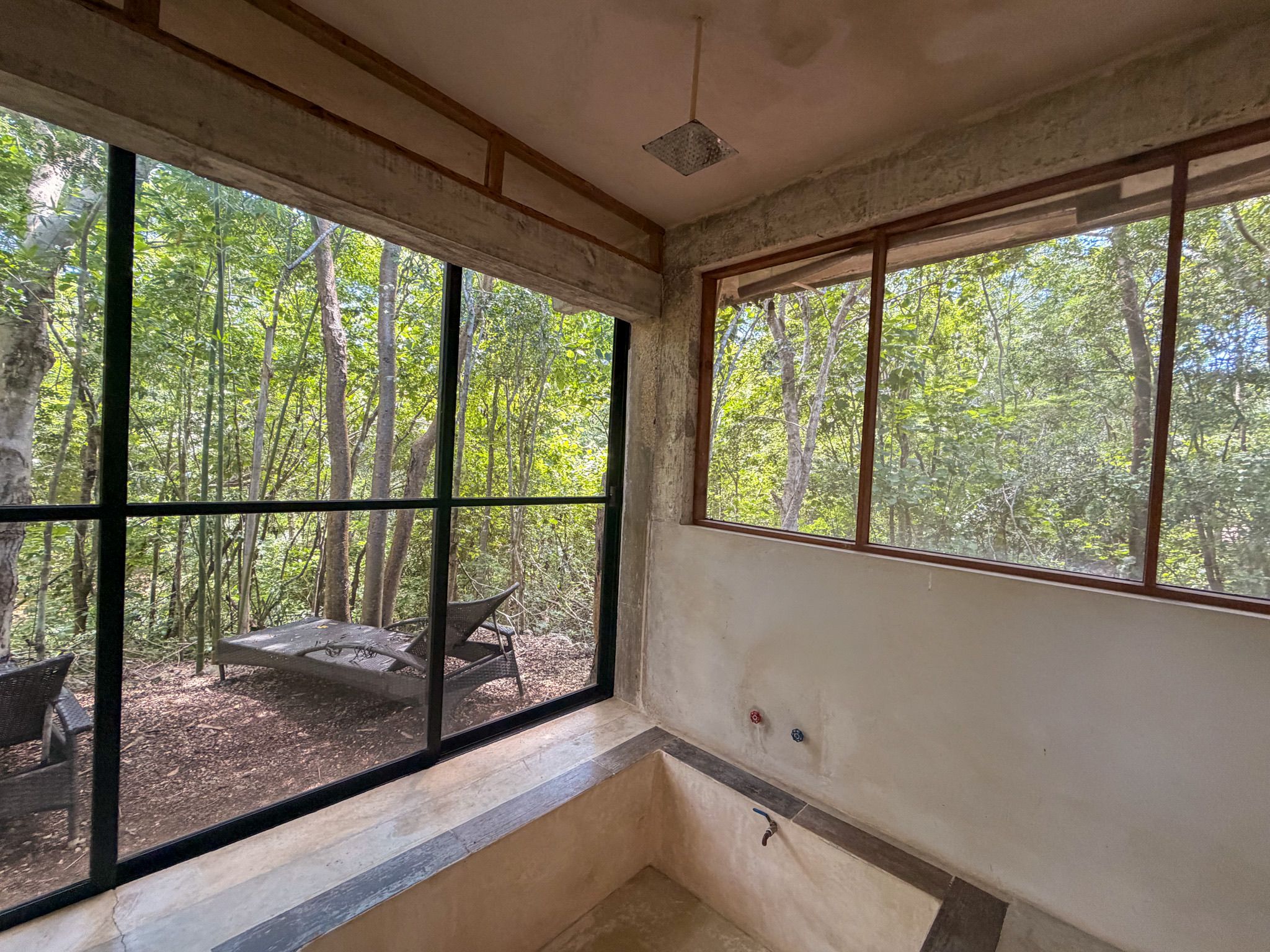 A room with large windows offering a view of a forest. There is a bench outside the window.