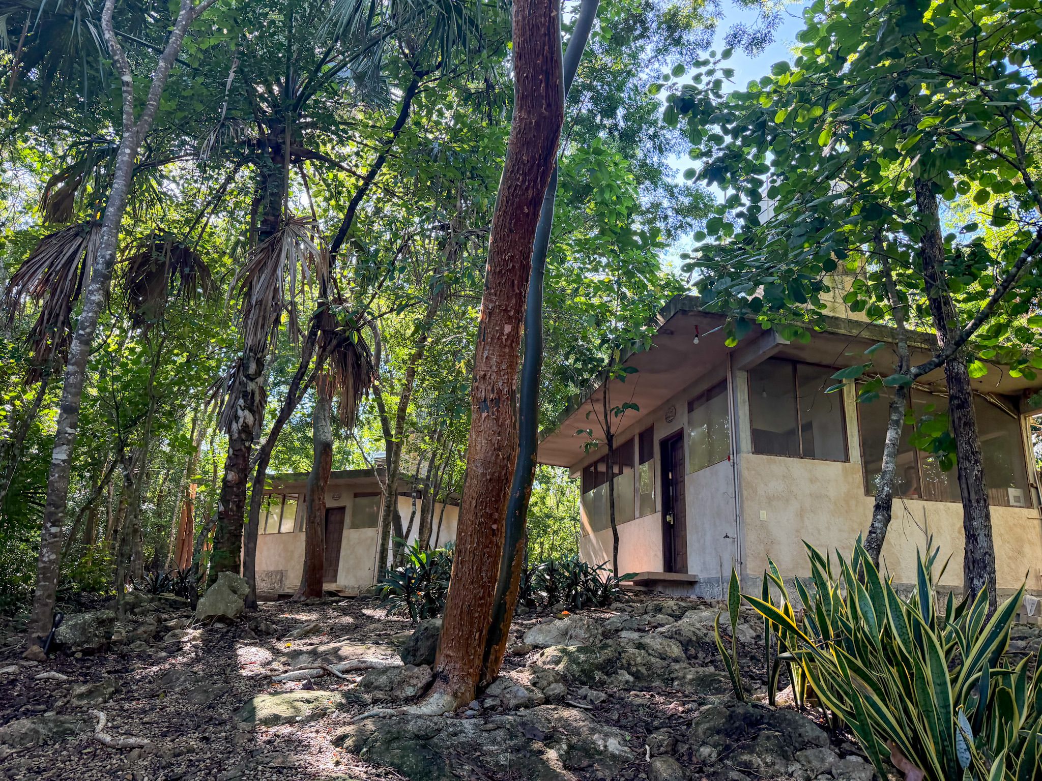 Un edificio rodeado de un bosque frondoso sobre terreno rocoso.
