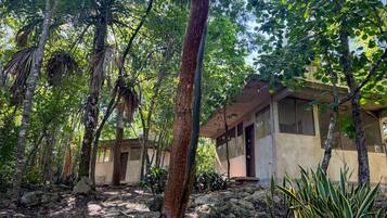 Un edificio rodeado de un bosque frondoso sobre terreno rocoso.