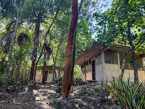 A building surrounded by dense forest with a rocky ground.
