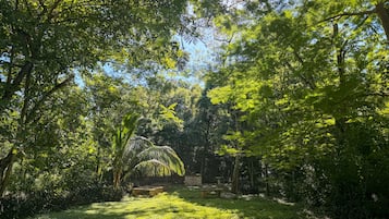 A garden with a pathway, benches, and a variety of trees and plants.