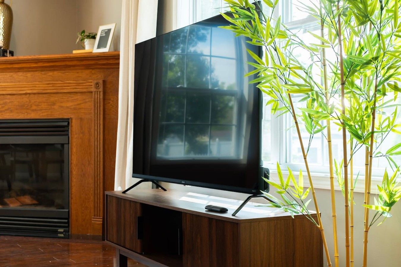 Una sala de estar con televisión sobre un mueble de madera, chimenea y planta de bambú.
