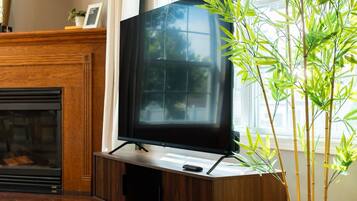 Una sala de estar con televisión sobre un mueble de madera, chimenea y planta de bambú.