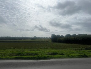 A rural landscape with a road, fields, and trees under a cloudy sky. - My place of peace (Henfield)