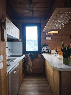 A compact kitchen with wooden walls, a window, a sink, a stove, and a countertop with a plant. - Up to 300 meters from the gondola lifts, balcony, TV, ski locker, 55 m², Pra Loup (Pra Loup)
