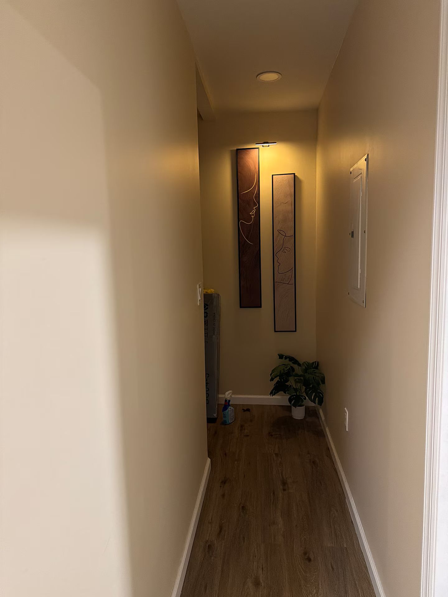 A hallway with wooden flooring, a potted plant, and two wall-mounted artworks.