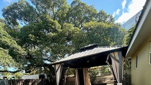 A covered patio area with a table and chairs, a grill, and a fenced yard. - Bright, Cozy Home Close to Everything. (Fort Lauderdale)