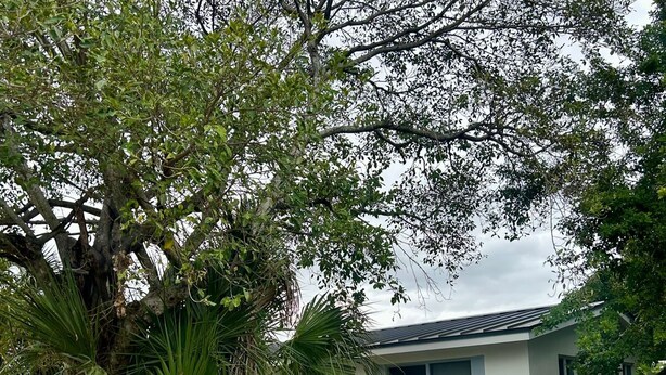 A residential property with a paved driveway, a parked car, and a house with a single-story structure. - Bright, Cozy Home Close to Everything. (Fort Lauderdale)