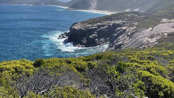 A coastal landscape with rocky terrain and dense green shrubbery.