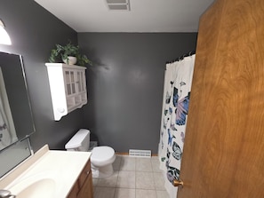 Ein Badezimmer mit Toilette, Waschbecken, Spiegel, Schrank und Duschvorhang.