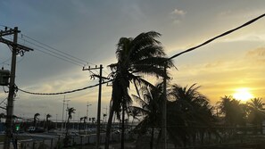 Vista callejera con palmeras, líneas eléctricas y un semáforo.