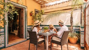 Eine Terrasse mit Tisch und Stühlen, umgeben von Blumentöpfen und einer gefliesten Wand mit Zierleiste.